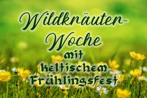 Wildkräuter-Woche mit keltischem Frühlingsfest @ KULTURGUTLEBEN GbR