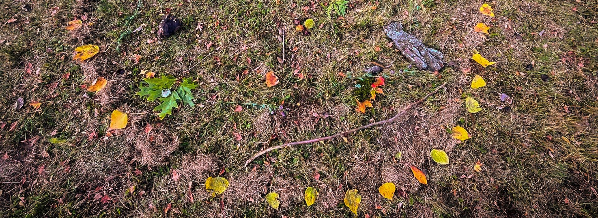 Slider Landart 1920 x 700