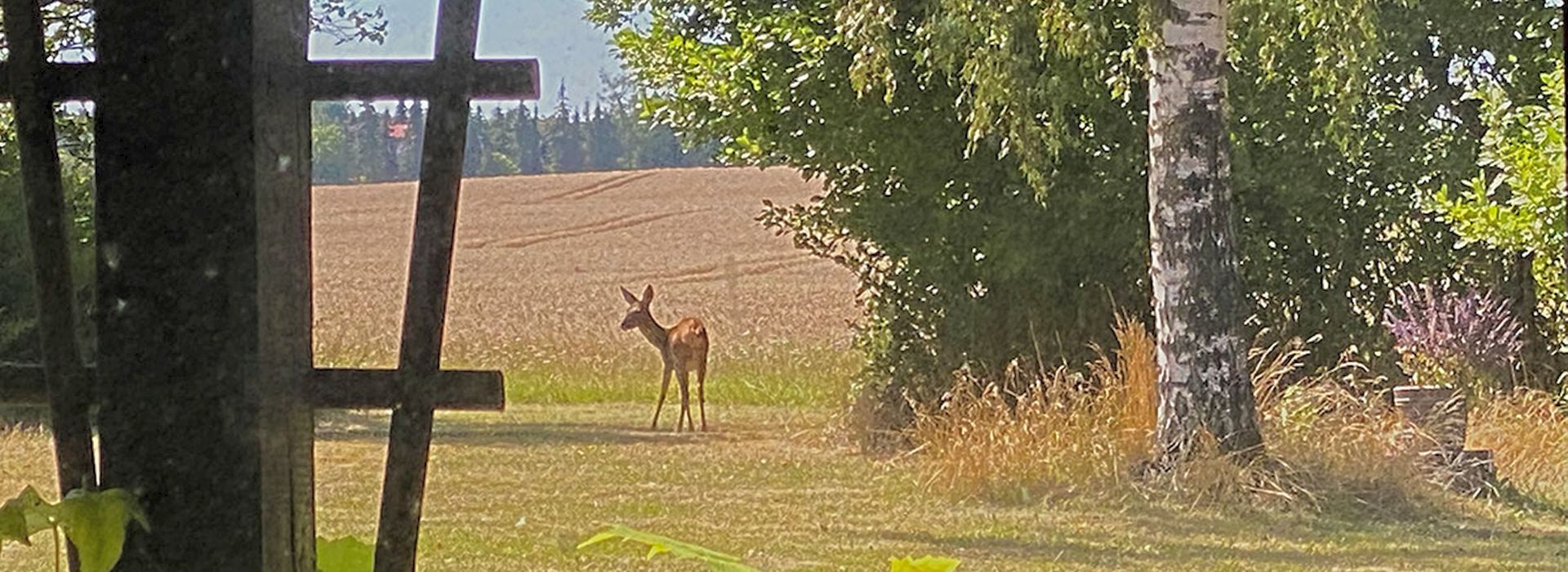 Slider Reh 1920 x 700