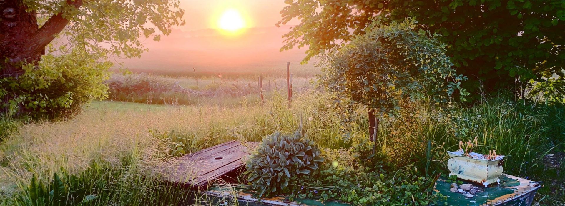 Slider Sonnenboot 1920x700